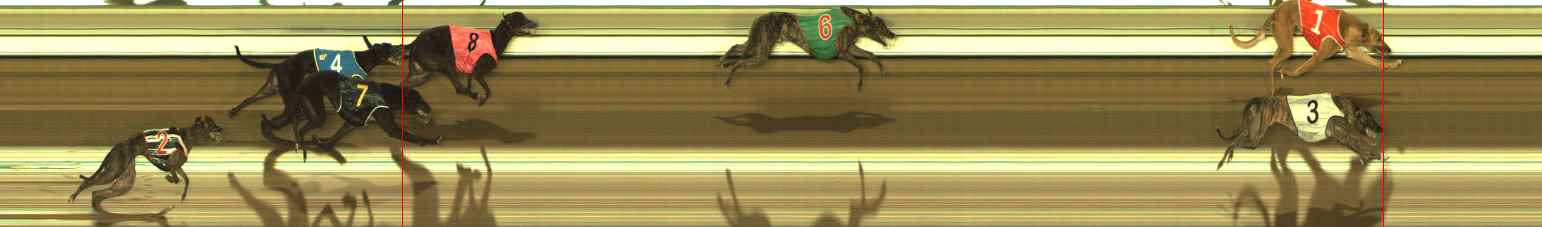 Race result finish photo
